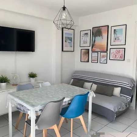 Apartment Face Mer, Grand De 32m2, Clim, Wifi, Parking, Proche Commerces Saint-Cyprien (Pyrenees-Orientales)